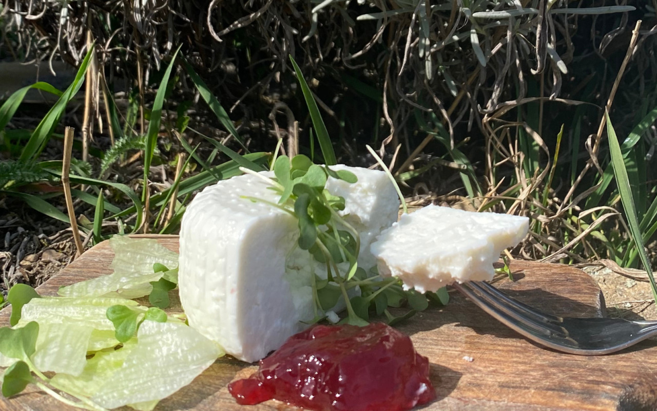 Podpořte naši farmu - pomozte nám pořídit foodtruck na výrobu sýru