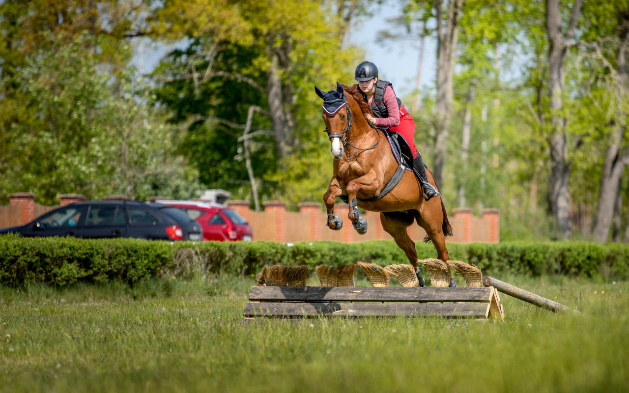 Equestriam - ježdění pro každého