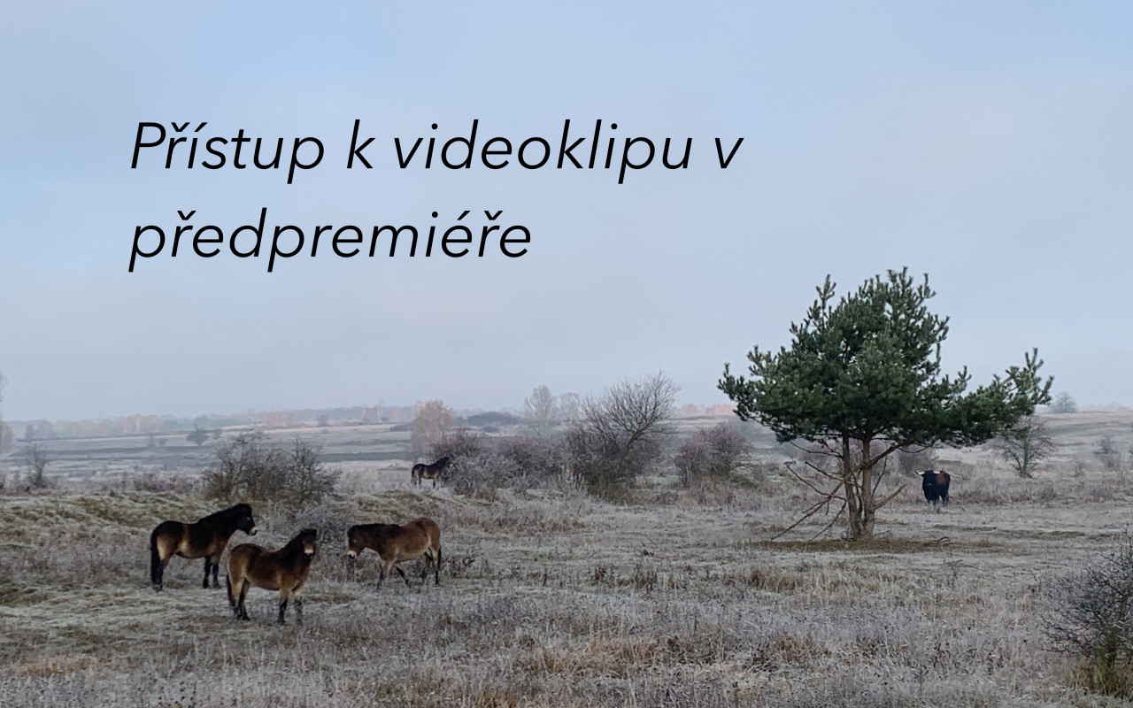 Podpořte první videoklip, “pražské Američanky ze Slovenska”, zpěvačky Ešli!
