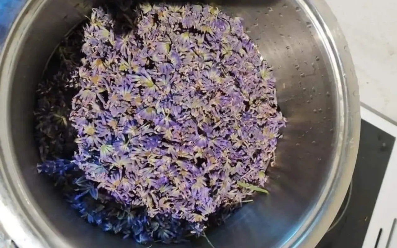 Podpořte bylinkový projekt Azeret Herbs