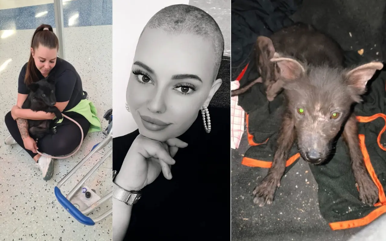 Ari přežila poušť. Teď ji ničí bolest...