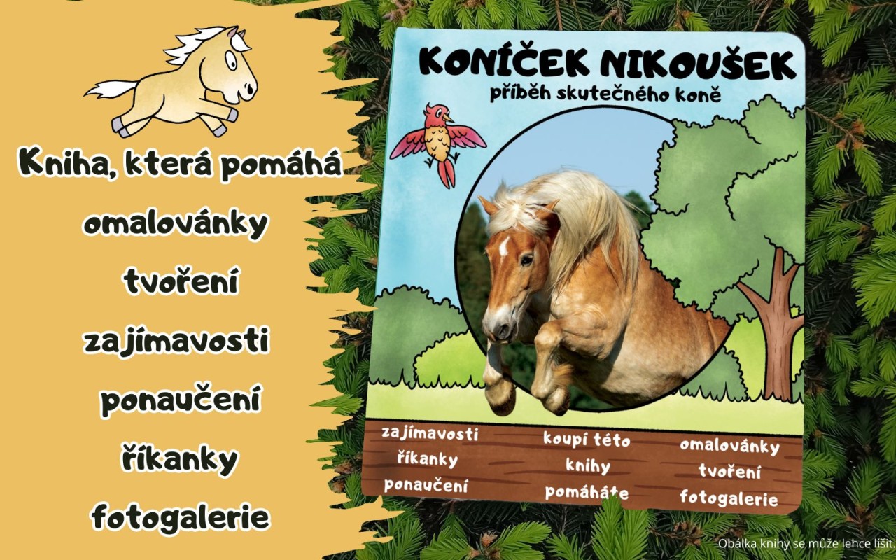 KONÍČEK NIKOUŠEK - podpořte knihu, která pomáhá nejen koním