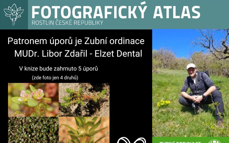 Fotografie všech českých rostlin v jedné KNIZE? Pojďme to dotáhnout!