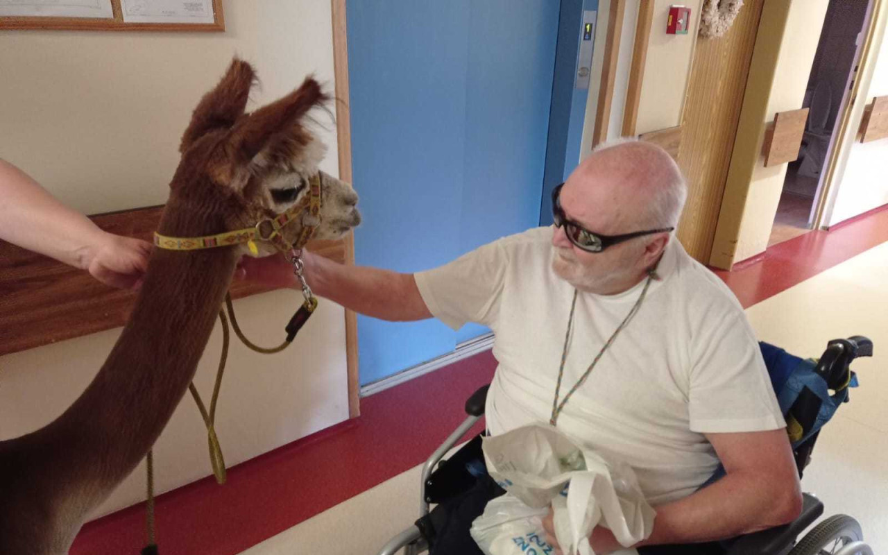 Zooterapie Staré Město u Uherského Hradiště