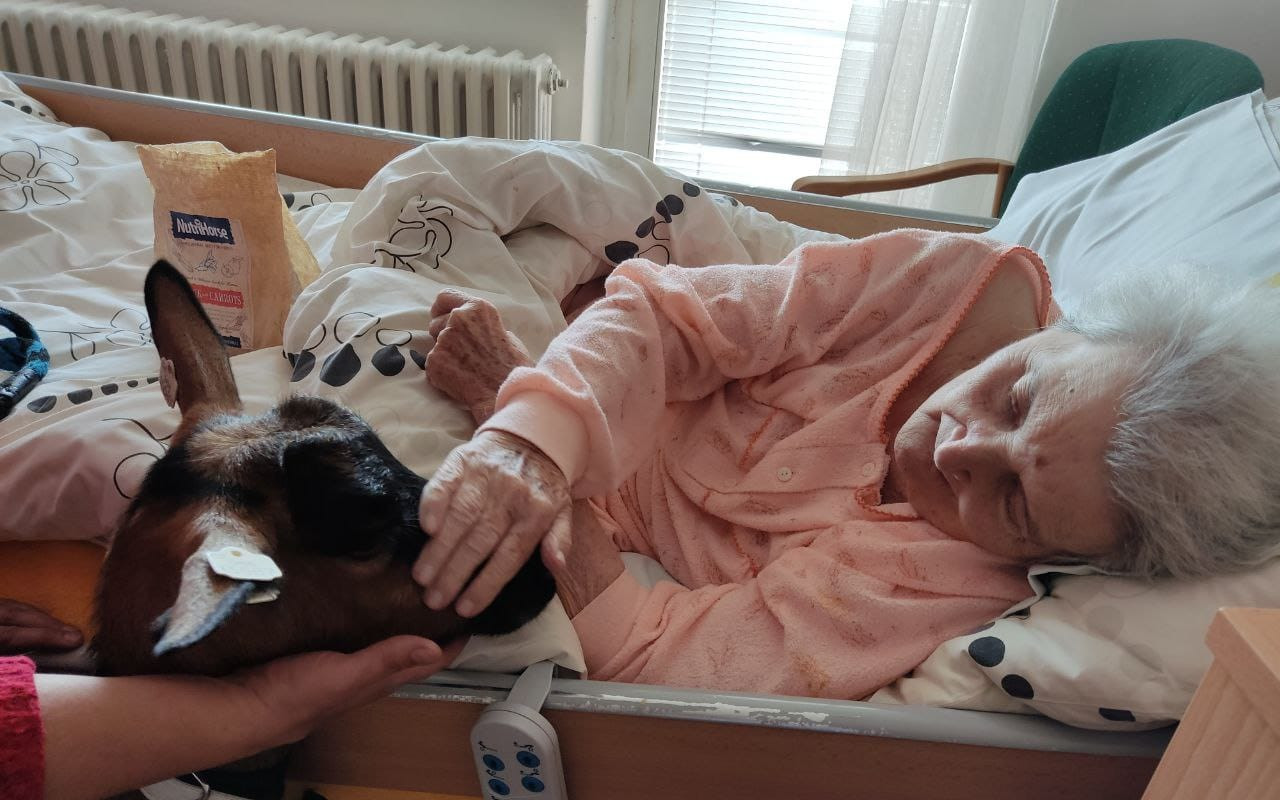Zooterapie Staré Město u Uherského Hradiště