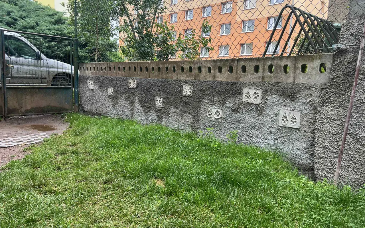 Pomozte Míle a jejím pejskům vrátit volnost pohybu!