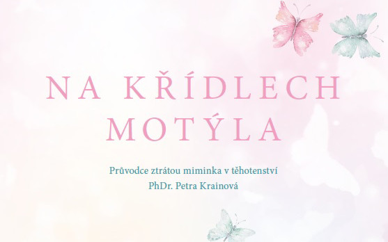 Na křídlech motýla – průvodce ztrátou miminka