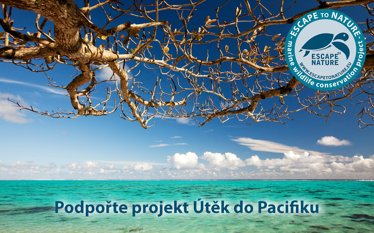 Útěk do Pacifiku - Papua Nová Guinea