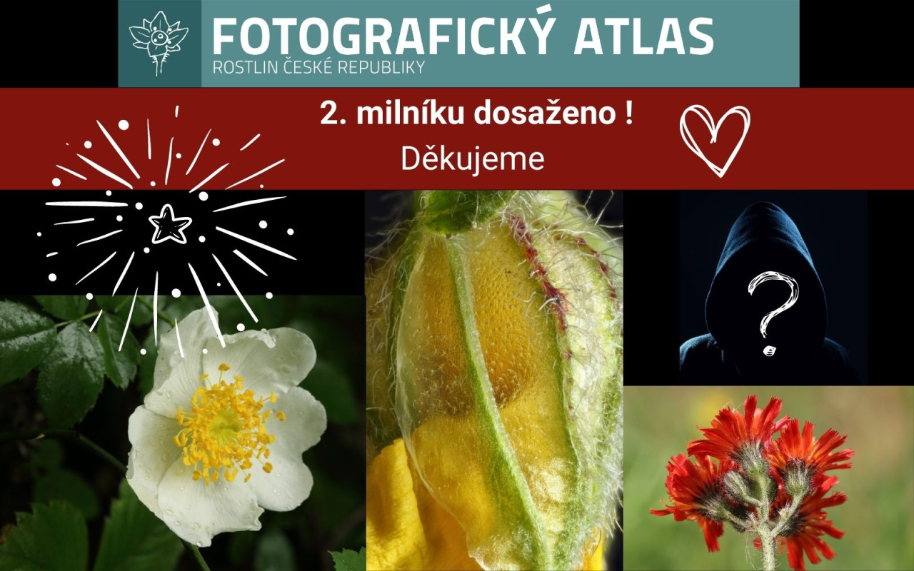 Fotografie všech českých rostlin v jedné KNIZE? Pojďme to dotáhnout!