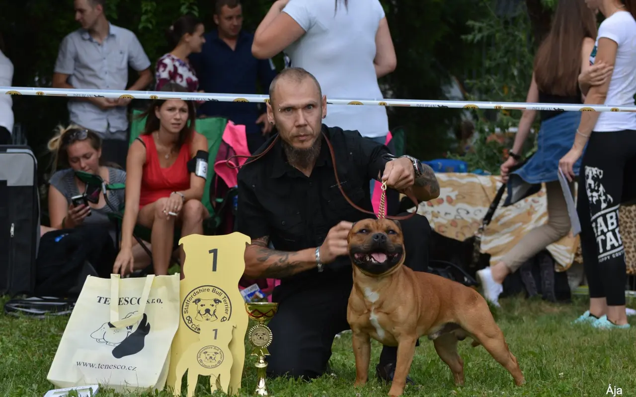 Pomohli jste Snoopymu