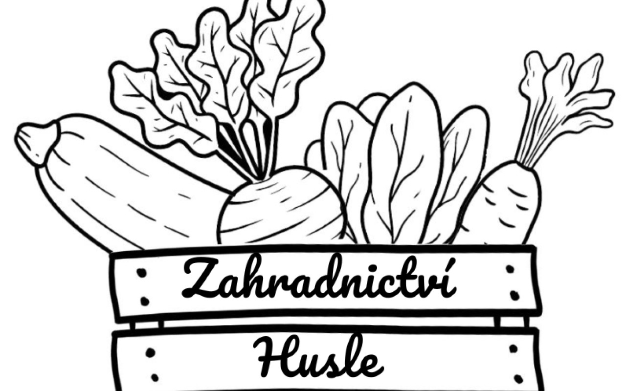 Pěstujeme zeleninu přírodně a bez chemie. Pomohli jste nám s rozšířením naší zahrady.