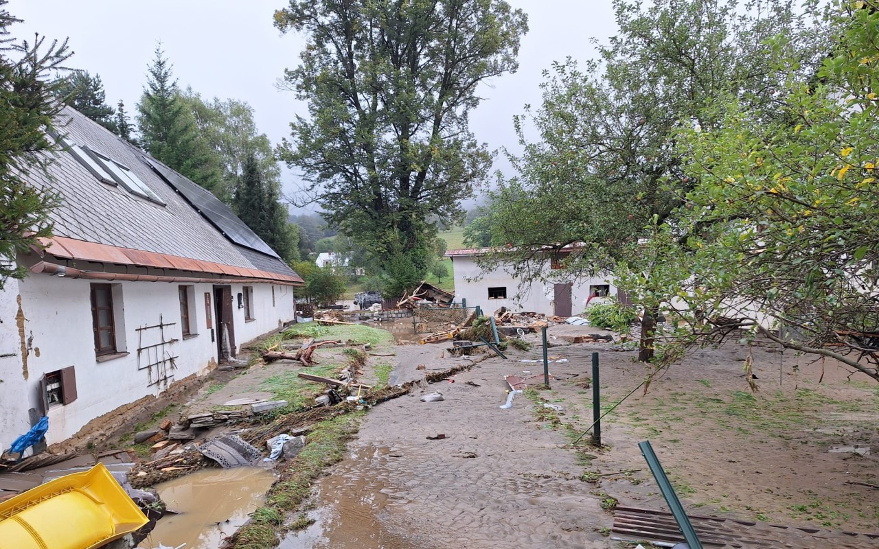 Pomohli jste kolegovi z WAREXu