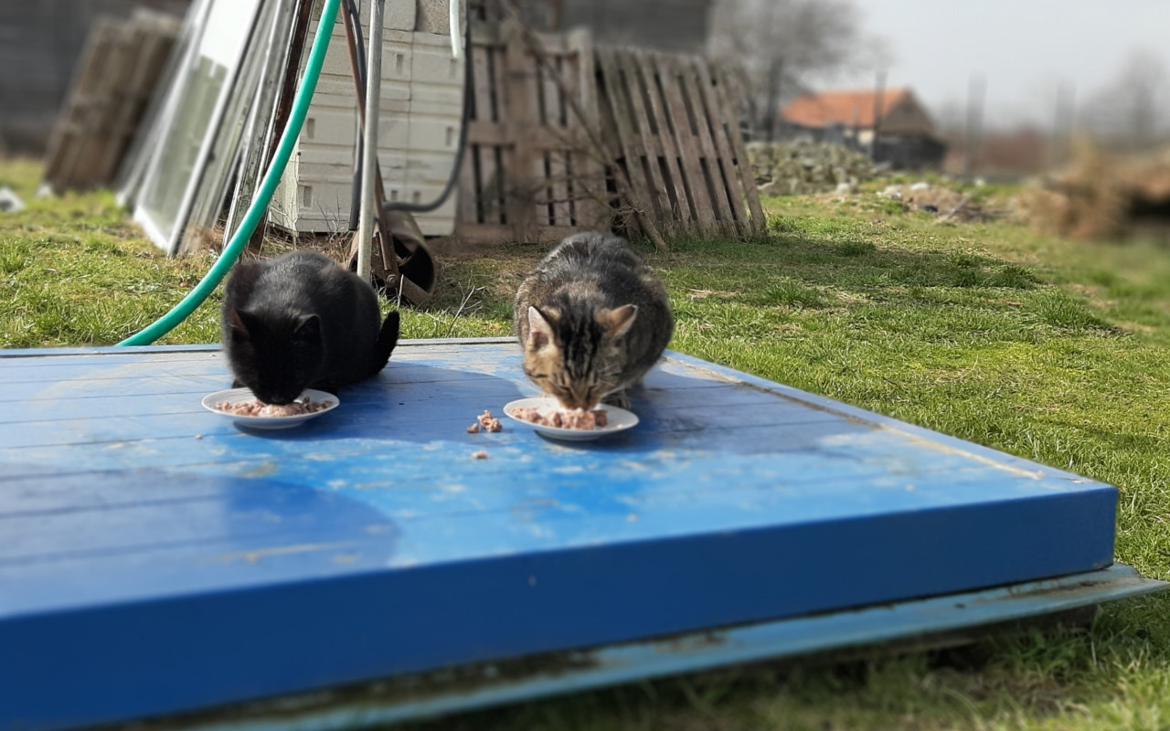 3 dobré skutky v 1 pomoci