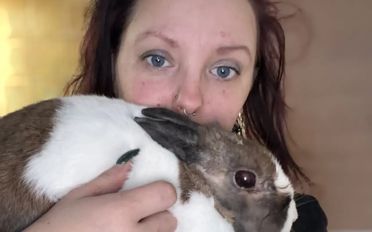 Pomohli jste králíčkovi Kájovi na operaci zubů