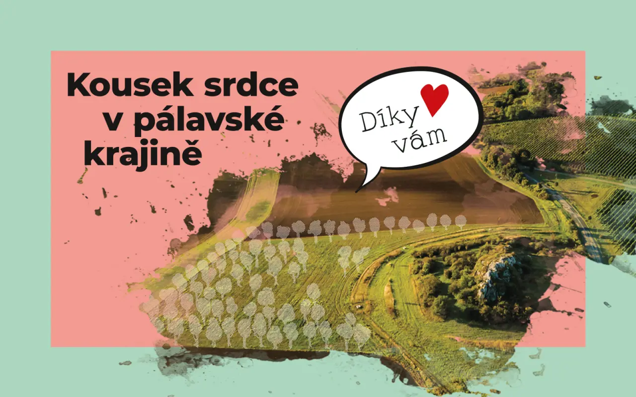 Pomohli jste proměnit pole v živý krajinný koridor na Pálavě
