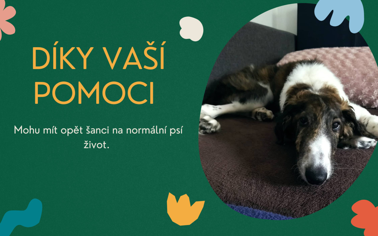 Pomohli jste Brilliantovi k lepšímu životu