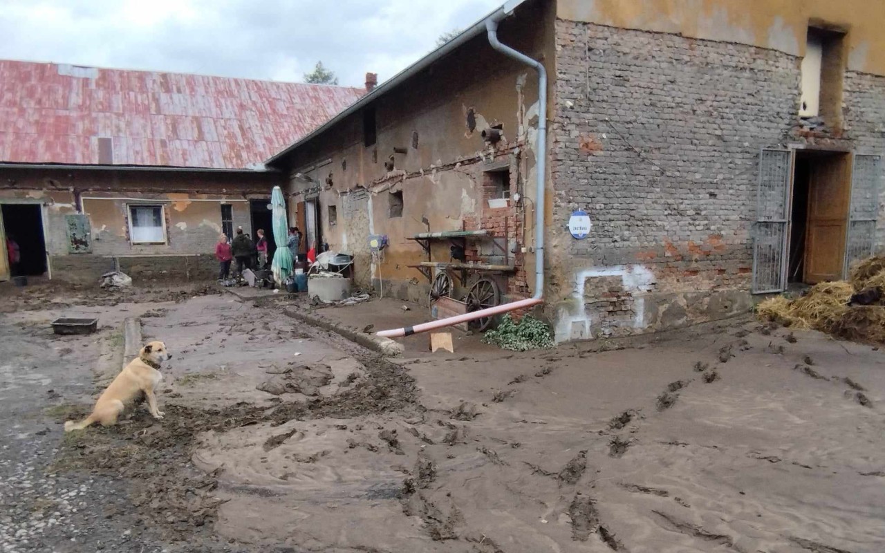 Pomohli jste naléhavé žádosti o pomoc pro koně zasažené povodní