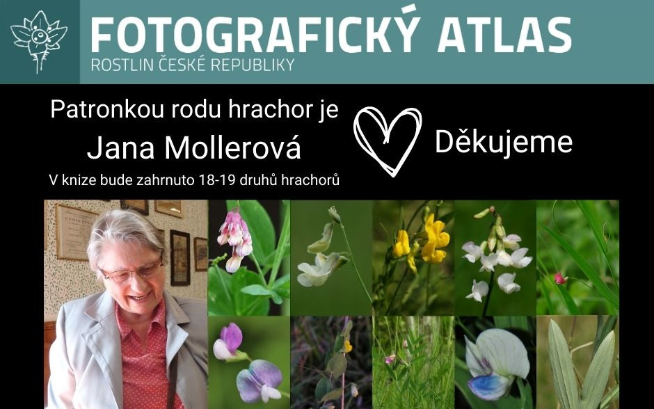 Fotografie všech českých rostlin v jedné KNIZE? Pojďme to dotáhnout!
