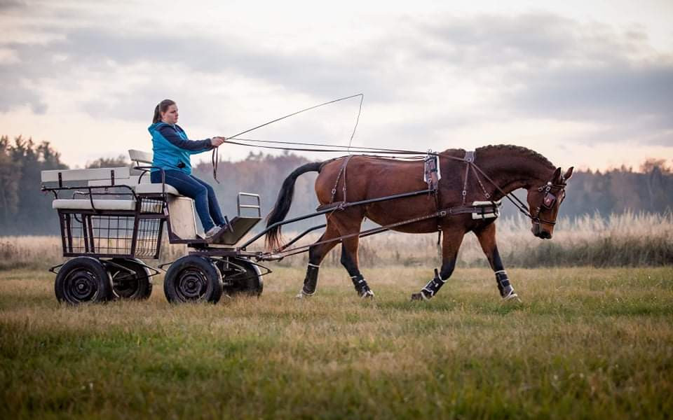 Equestriam - ježdění pro každého