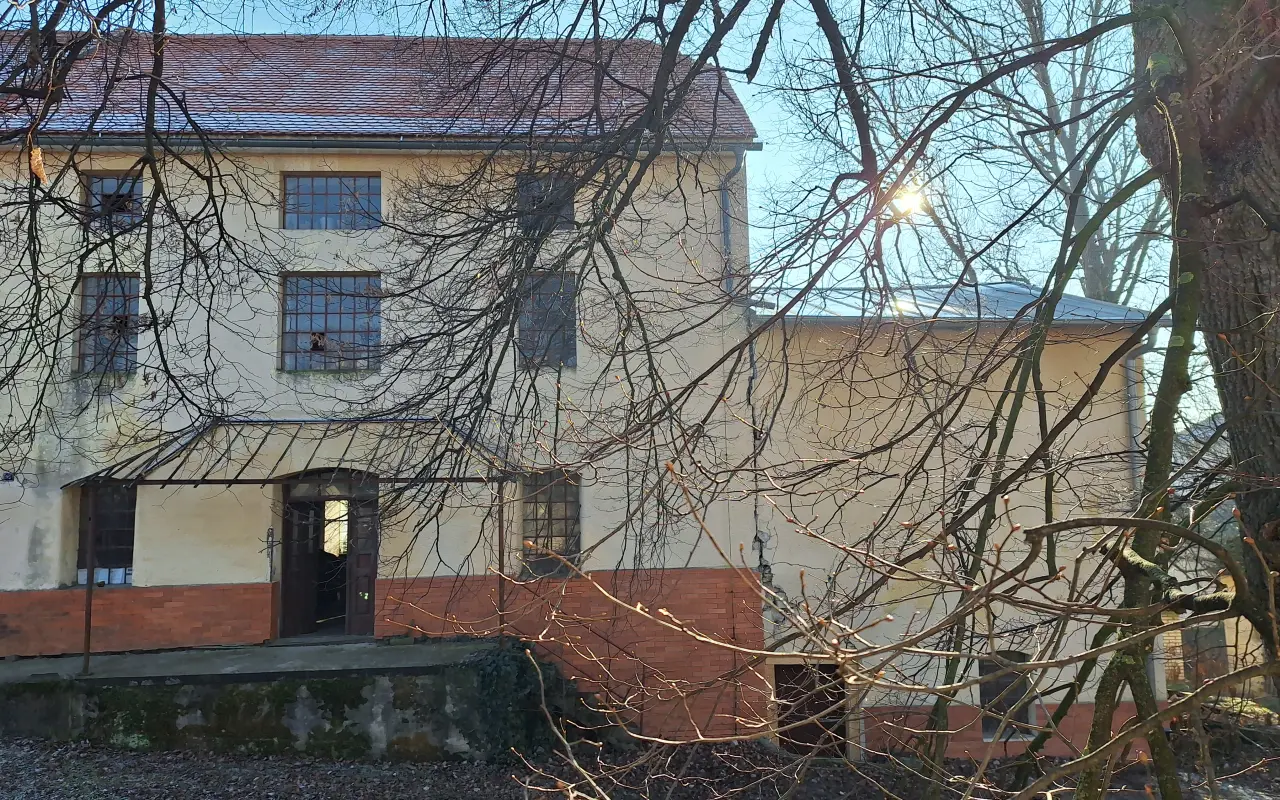 main photo image