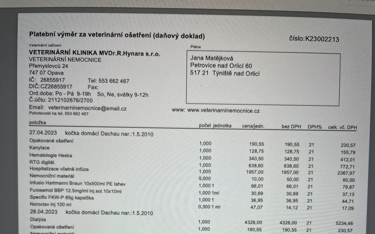 Statečný kocourek má nemocné ledviny