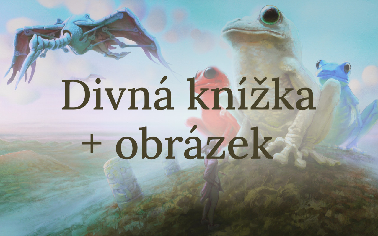 Vydáváme Divnou knížku