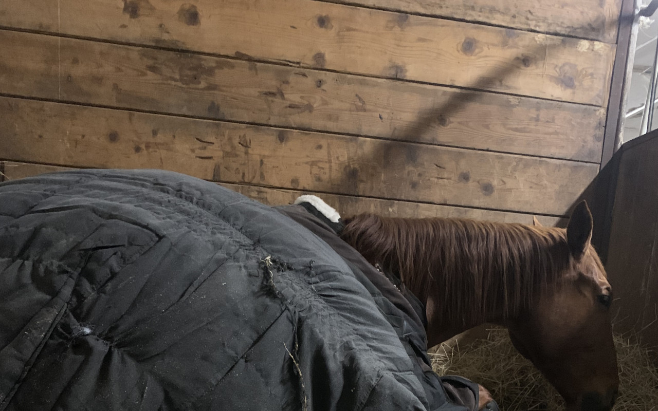 Campino a naše cesta