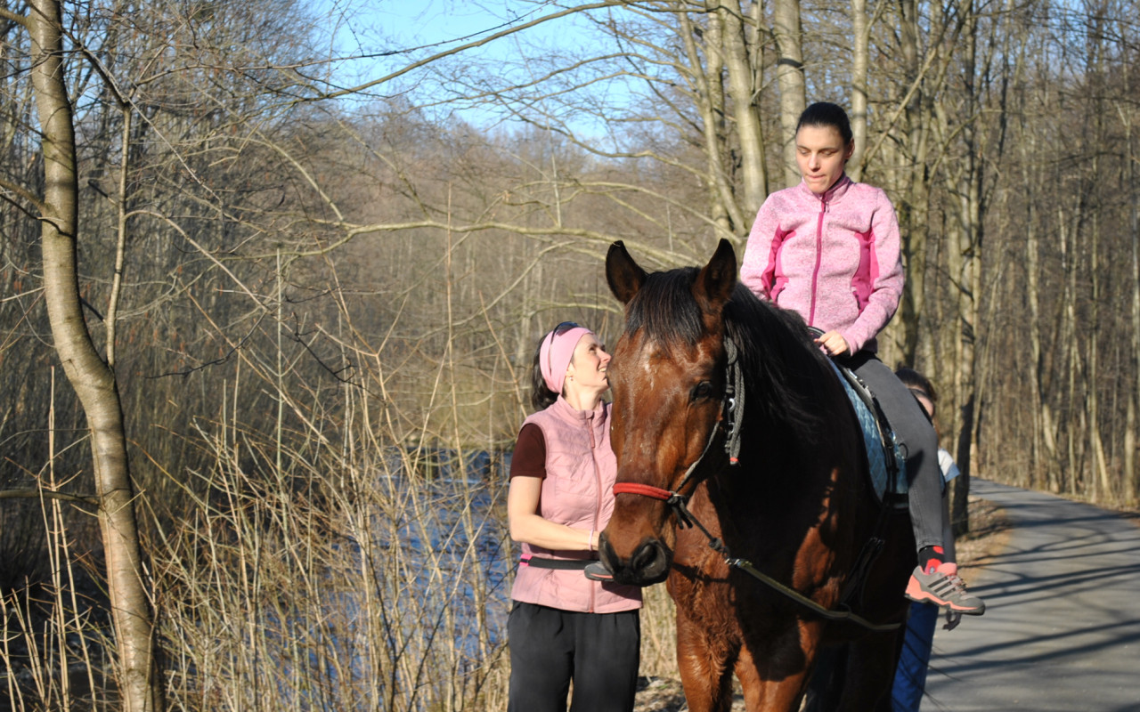 Pomohli jste nám nakrmit koně, kteří pomáhají dětem. Děkujeme!
