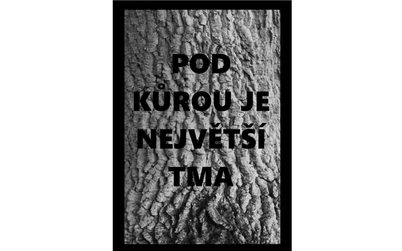 Havlos Paluška