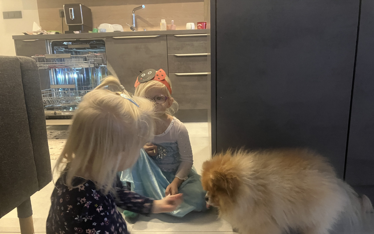 Pomoc pro Tedíka