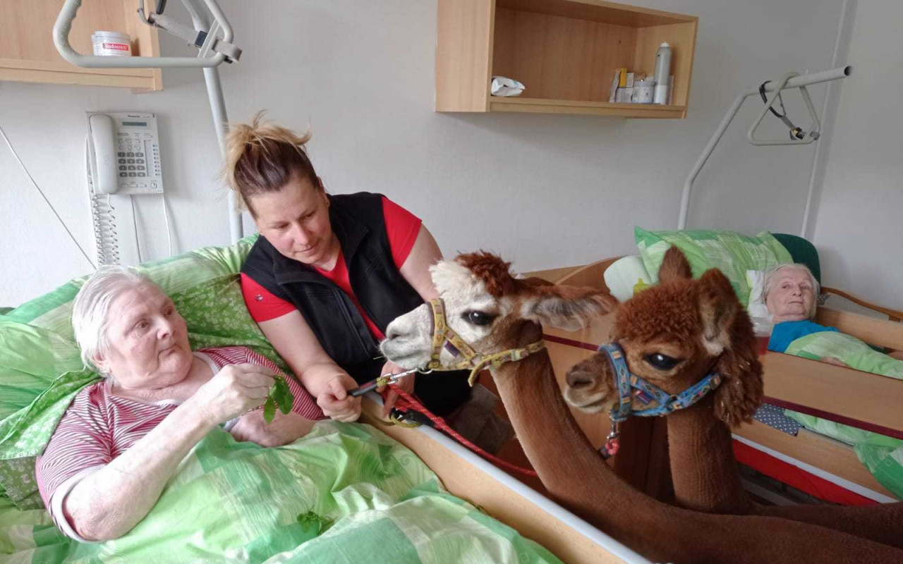 Zooterapie Staré Město u Uherského Hradiště