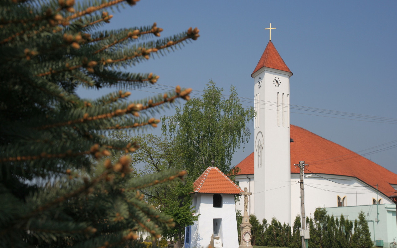 Složili jste se na horňácké varhany pro farnost Lipov