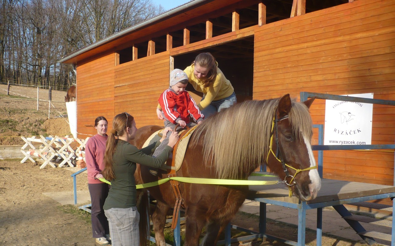 Pořízení a výcvik nových hiporehabilitačních koní