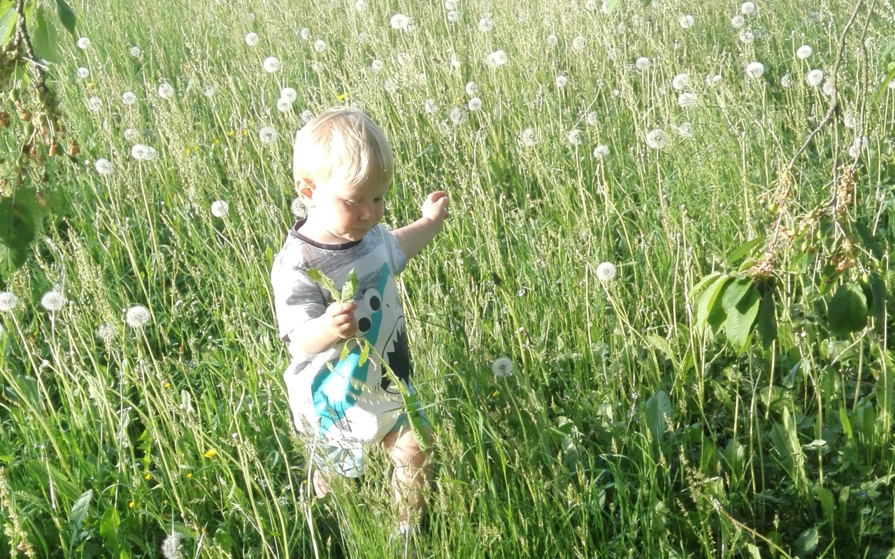 Pomoc pro Daníčka s akutní leukémií a jeho maminku