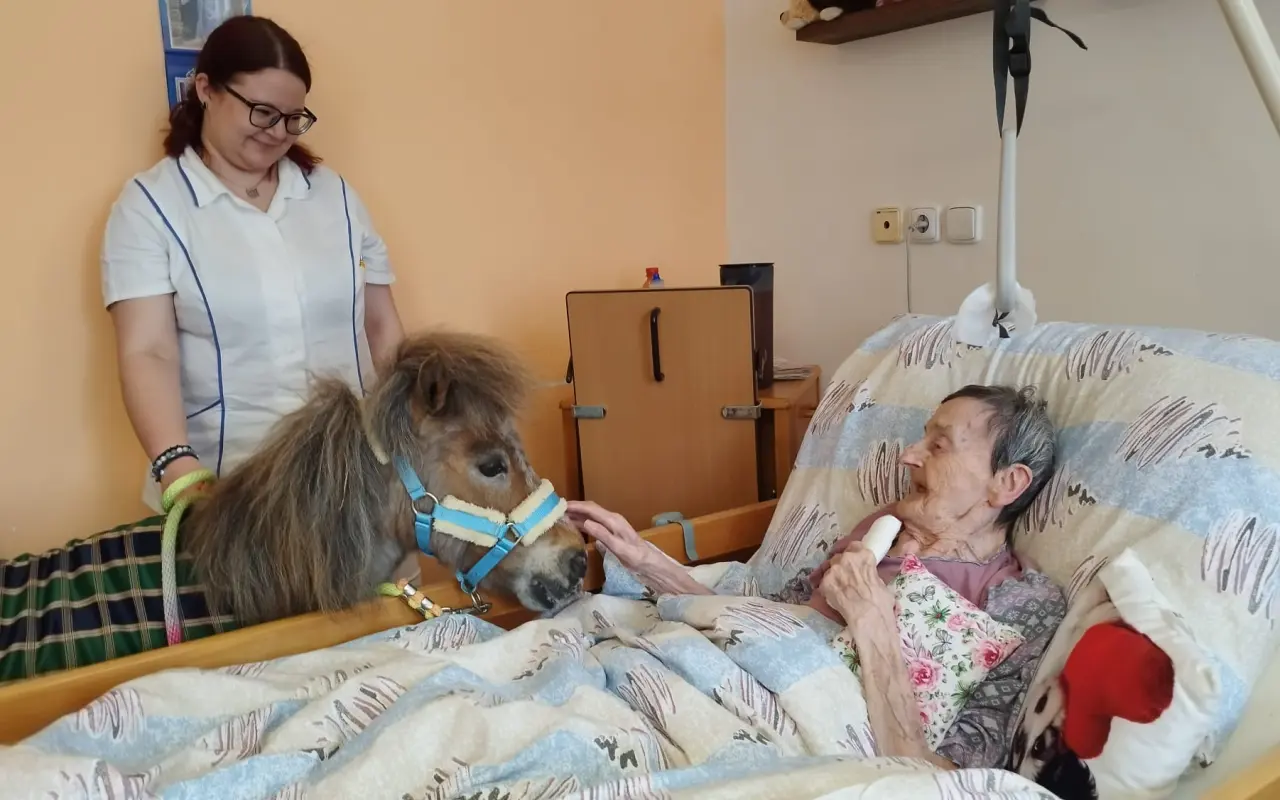Pomohli jste tlapkám a kopýtkům, které léčí