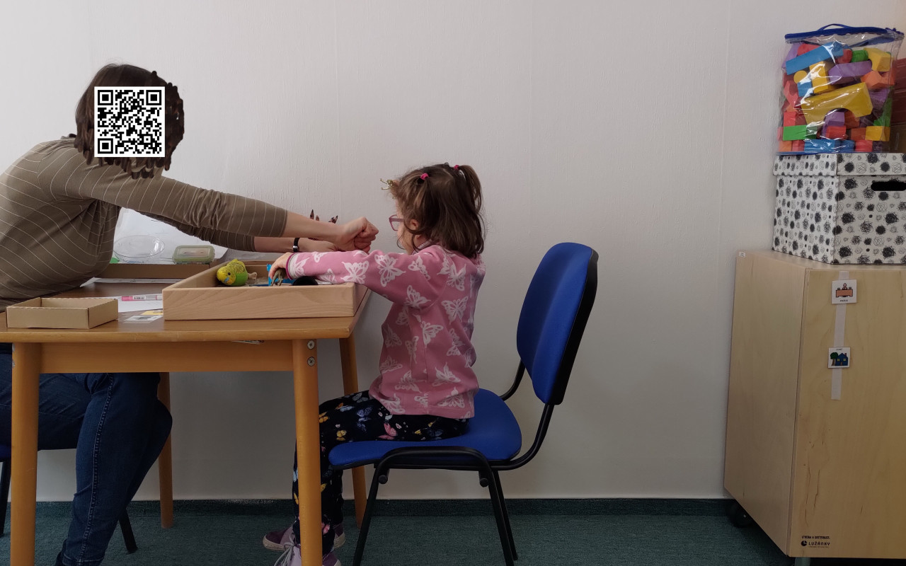 Pro Barušku naší bojovnici na velké auto a rehabilitace