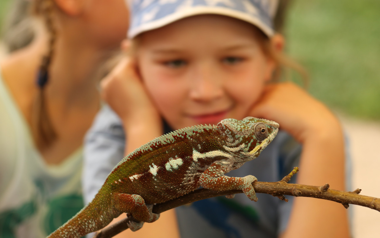 Naplnili jste misky zvířátkům v Zoopaku Zájezd