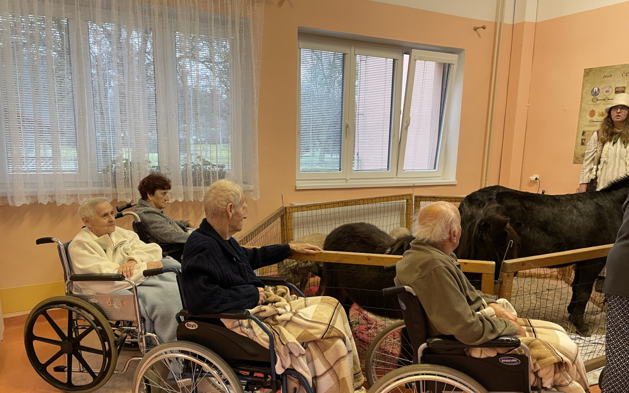 Auto plné zvířecí lásky a radosti