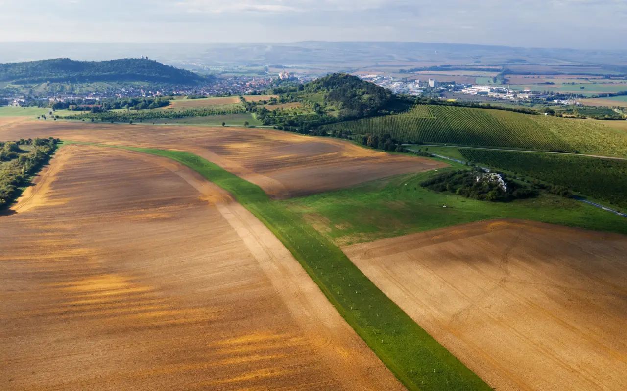 Pomohli jste proměnit pole v živý krajinný koridor na Pálavě