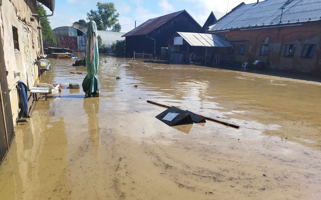 Pomohli jste naléhavé žádosti o pomoc pro koně zasažené povodní