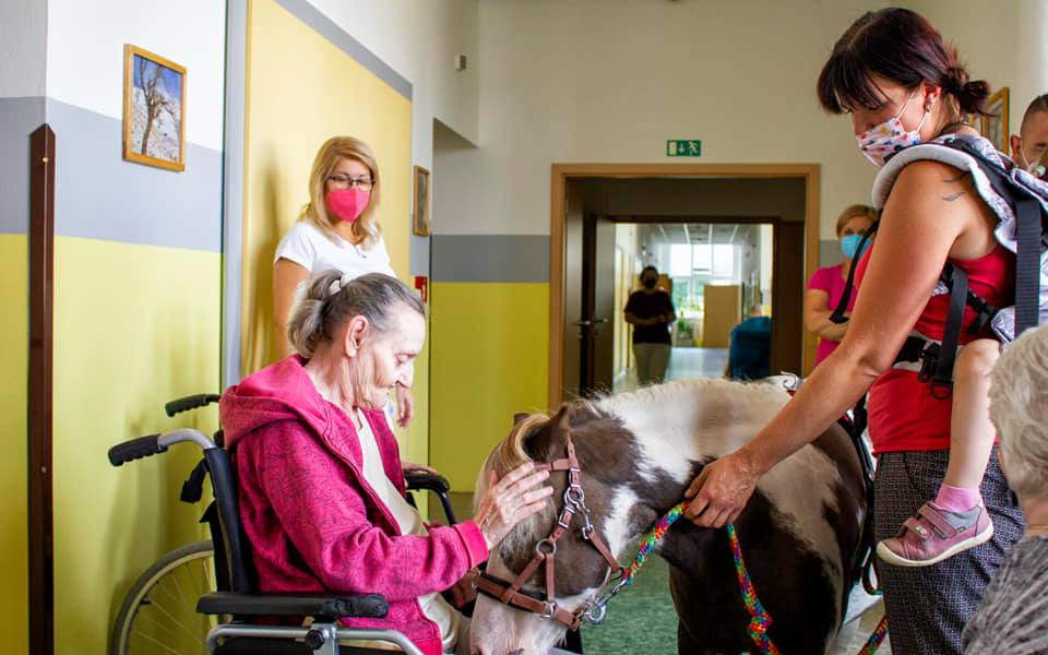 Casperovi, pony terapeutovi, na nový výběh