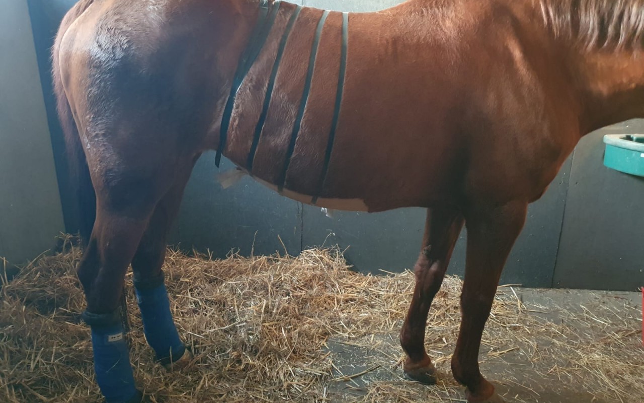 Pomohli jste Laře bojovat o život