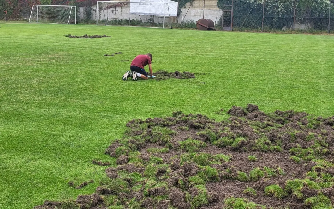 Oplocení fotbalového hřiště proti divokým prasatům
