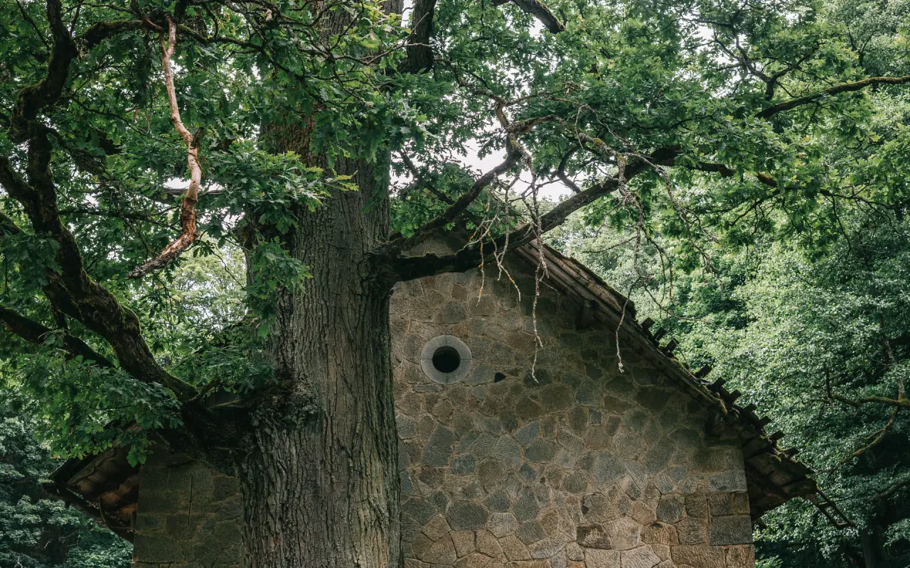 Podpořili jste Plášilovu novou střechu