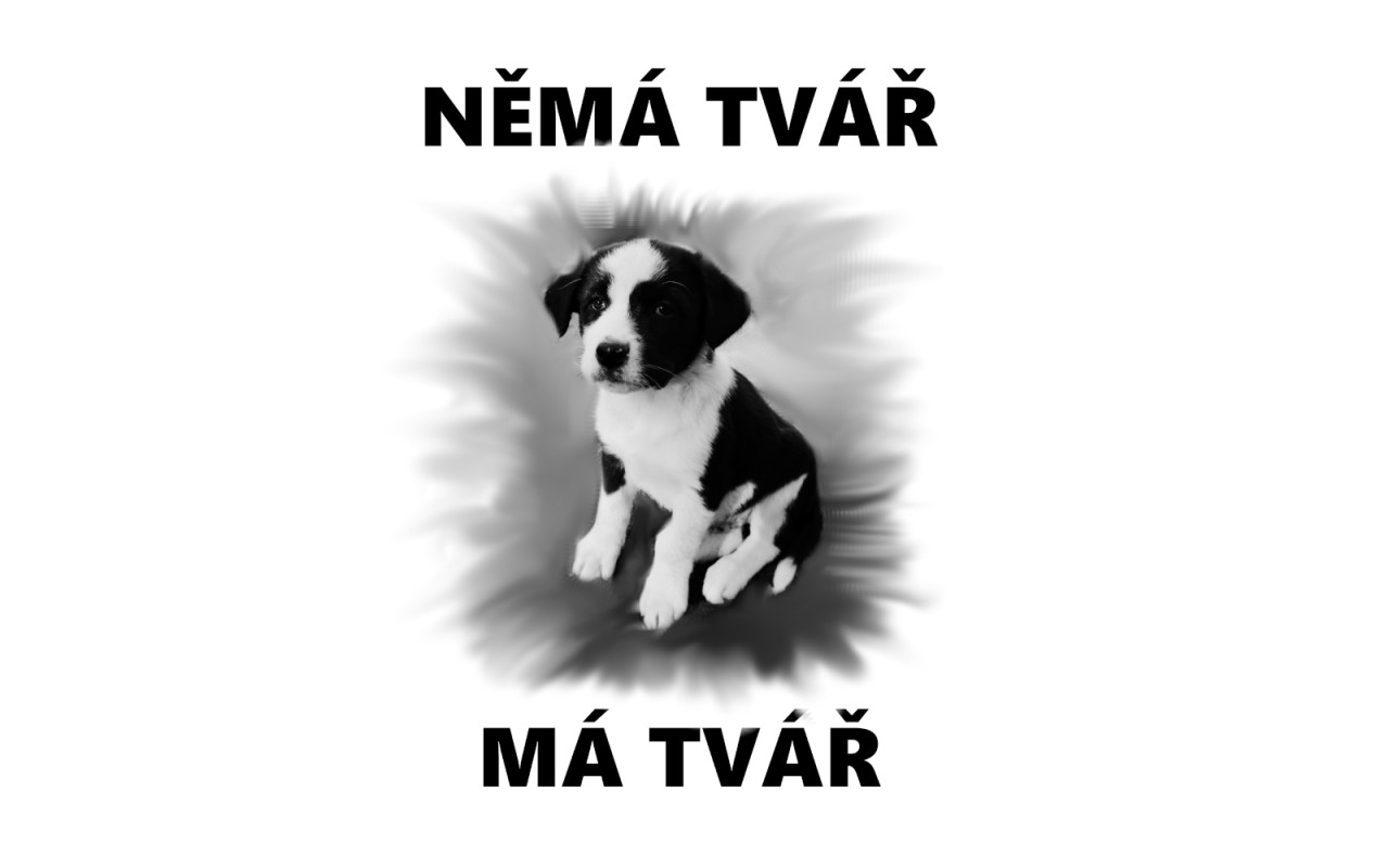 Havlos Paluška