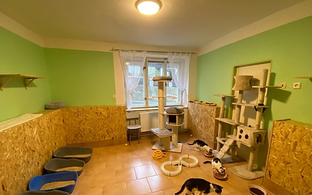 Střecha pro kočičí depozitum Fousek