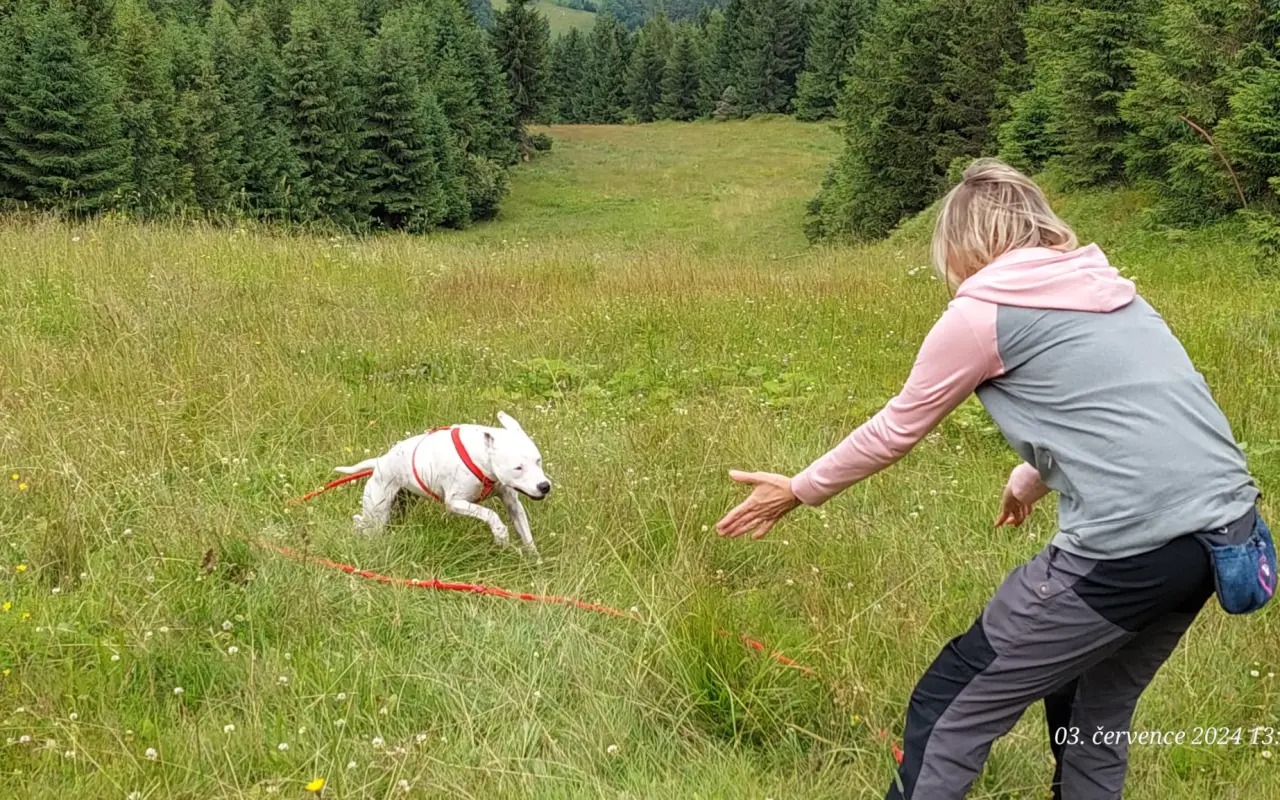 Pomůžete naší Mie zase bez bolestí, běhat po všech čtyřech?
