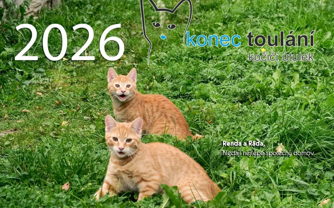 Pomozme paní Jančové a útulku Konec Toulání