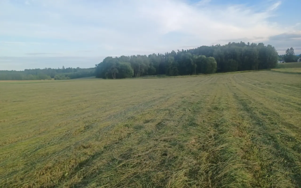 Záchrana srnčat a drobné zvěře dronem s termokamerou