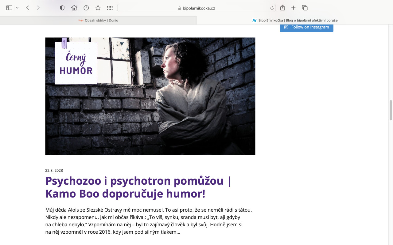 Podpořme blog Bipolární kočka - pomoc nemocným s maniodepresí